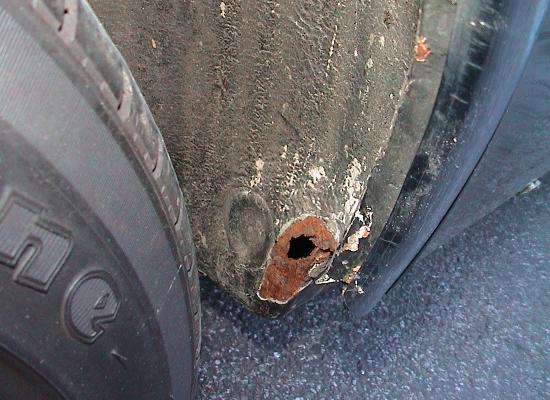 Zur�ck zur Bildergalerie