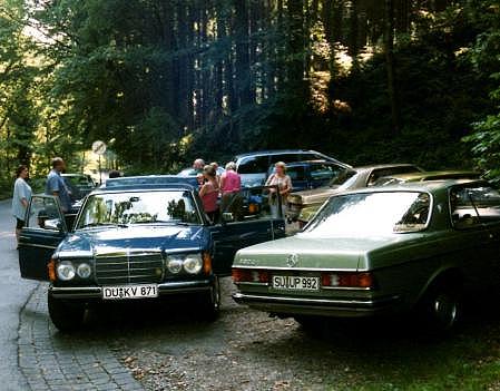 Rast im k�hlen Schatten