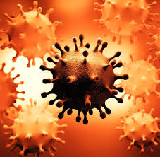 CORONA Virus
